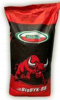 Koncentrat dla opasów byków Big Byk Neorol 25kg