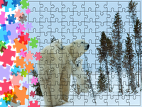 Puzzle tradycyjne Zwierzęta - Niedźwiedź polarny