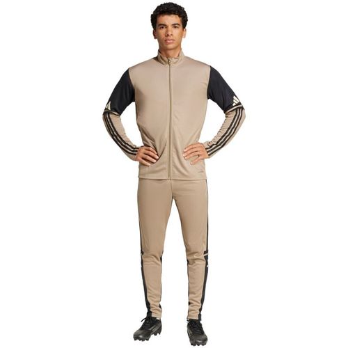 Bluza adidas Squadra 25 Training M JP3391 S na Arena.pl