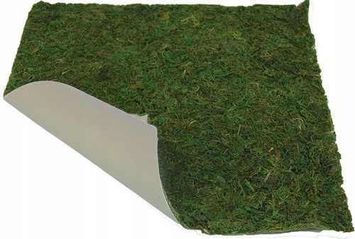 Wysuszony MECH NATURALNY na płycie ARKUSZ do dekoracji Szopki - 60 x 40cm na Arena.pl