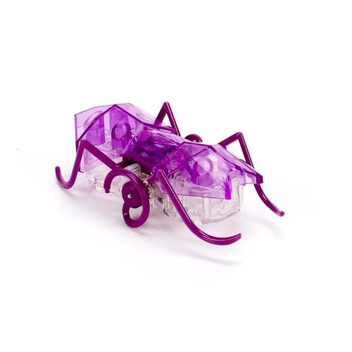 Hexbug Mikro mrówka na Arena.pl