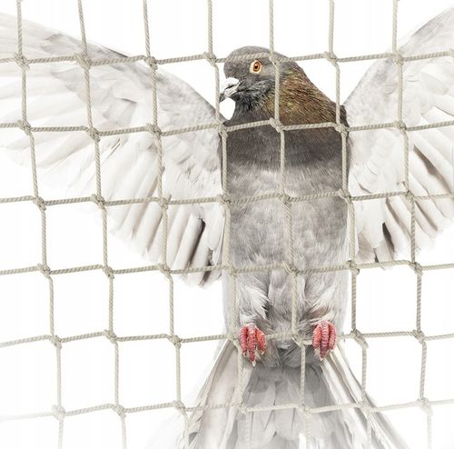 ZESTAW SIATKA NA BALKON 6x3m NA GOŁĘBIE PRZECIW PTAKOM MONTAŻ BEZ WIERCENIA na Arena.pl