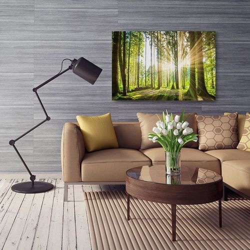 Obraz na płótnie - Canvas, Słoneczny las 50x70 na Arena.pl
