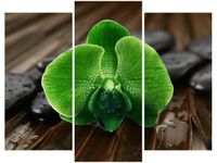 70 90CM OBRAZ 3 ELEM LIMONKOWY STORCZYK ŚCIENNY DRUK PŁÓTNO