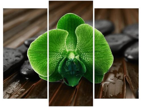 70 90CM OBRAZ 3 ELEM LIMONKOWY STORCZYK ŚCIENNY DRUK PŁÓTNO na Arena.pl