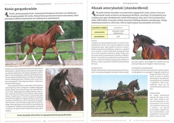 ATLAS KONI RASY OPIEKA ZDROWIE JEŹDZIECTWO ALBUM TWARDA zdjęcie 2