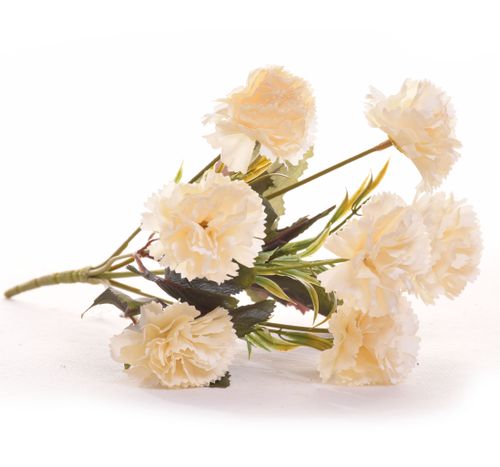 Goździk bukiet krem na Arena.pl