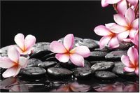 product-compare-58693820