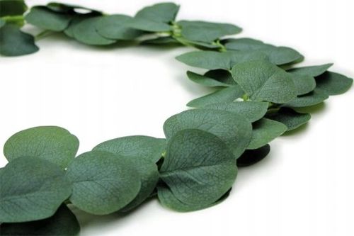 Girlanda Eukaliptus Bluszcz Sztuczne Zielone Listki Komunia Wesele 2 Metry na Arena.pl