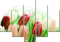 105CM 150CM OBRAZ 5 ELEM CZERWONE TULIPANY DRUK