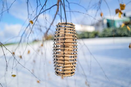 KARMNIK DLA PTAKÓW NA ZIMĘ FAYA + KULE BILE TŁUSZCZOWE (15 SZT) + PORADNIK na Arena.pl