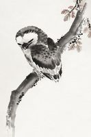 Plakat 20x30cm Japanese Owl, Hokusai Japoński Vintage do Salonu