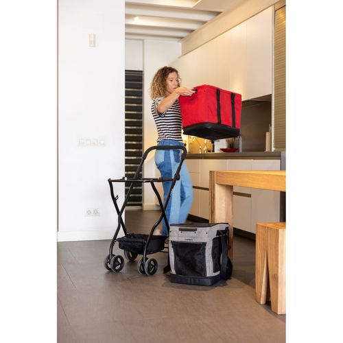 Wózek na Zakupy Carlett CUBE S PINE Kolor Zielony na Arena.pl