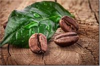 120CM 80CM OBRAZ ŚCIENNY ZIARNA KAWY DESCE