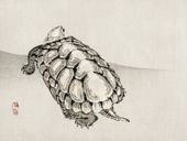 Plakat 80x60cm Turtle, Kōno Bairei Japoński Vintage do Salonu