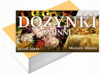 Wizytówki firmowe Foliowane 1000szt wiele wzorów DOŻYNKI GMINNE