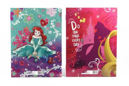 Princess A4 folder na Arena.pl