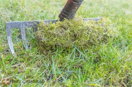 SIARCZAN ŻELAZA NAWÓZ DO TRAWY 25kg na Arena.pl