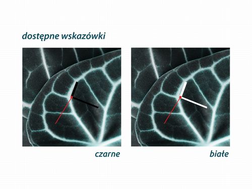 ZEGAR SZKLANY KWADRATOWY - Ciemne liście na Arena.pl