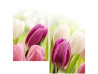 60X60CM SOCZYSTE TULIPANY DWU OBRAZ ŚCIAN