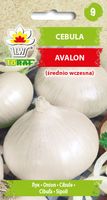 Toraf Nasiona Cebula Avalon Biała Słodka wczesna