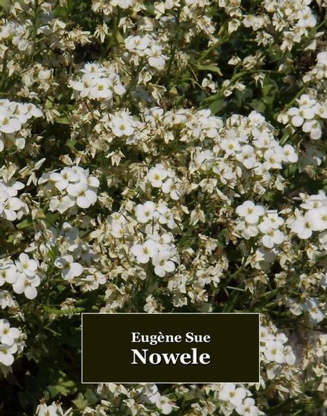 (epub, mobi) Nowele zdjęcie 1
