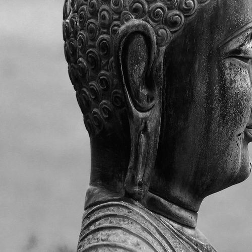 Obraz na płótnie - Canvas, Profil Buddy 3 120x80 na Arena.pl