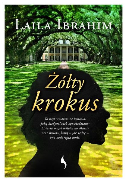Żółty krokus Laila Ibrahim zdjęcie 1