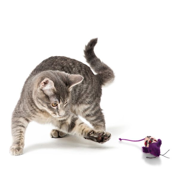 HappyPet Velour Mice - myszka dla kota zdjęcie 1