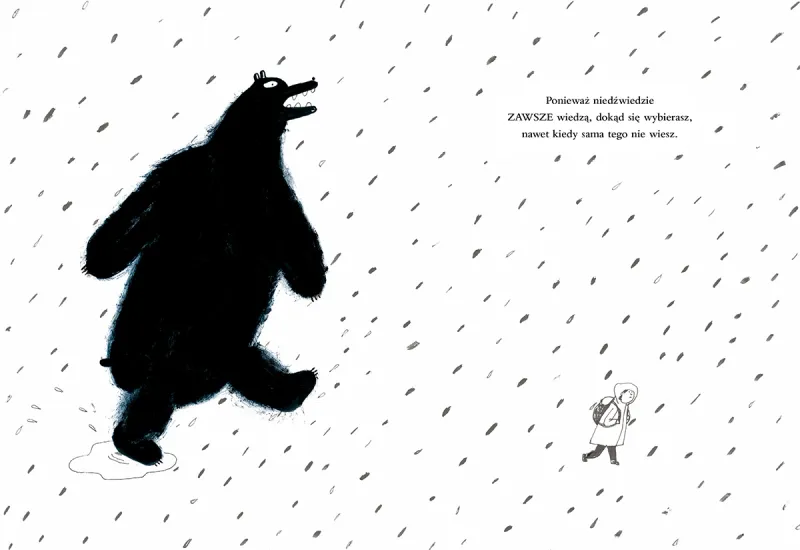 Mniedźwiedź zdjęcie 3