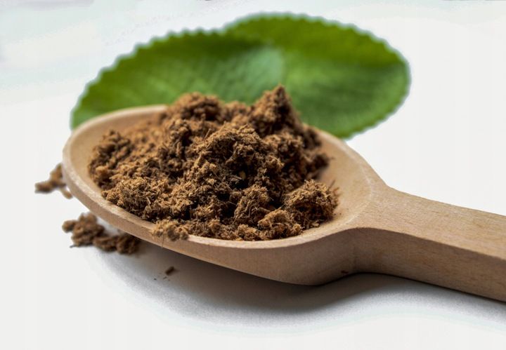 Reishi Ganoderma Lucidum 50g - ZDROWIE ODPORNOŚĆ zdjęcie 4