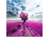 50X50CM OBRAZ FIELD&TREE POLE DRZEWO KOLORY DREWNO