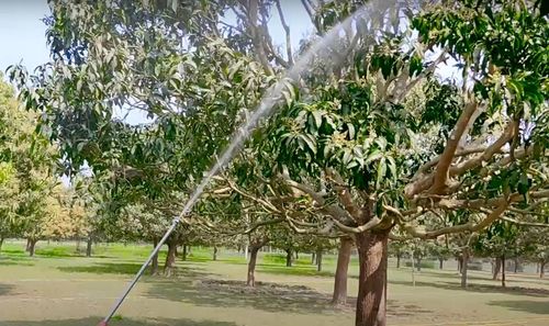 OPRYSKIWACZ Duży Zasięg akumulatorowy elektryczny myjka ciśnieniowa MP0356 na Arena.pl