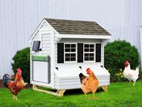 AUTOMATYCZNE DRZWI KURNIKA SOLARNE PILOT DRZWICZKI CZUJNIK ŚWIATŁA TIMER