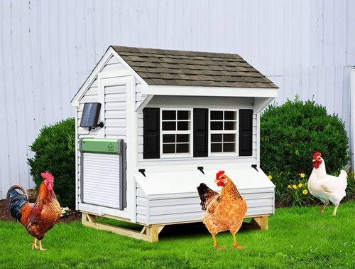 AUTOMATYCZNE DRZWI KURNIKA SOLARNE PILOT DRZWICZKI CZUJNIK ŚWIATŁA TIMER na Arena.pl