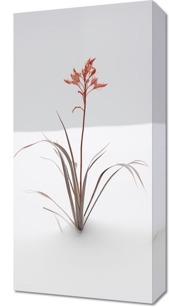 Obraz 30x60cm Subtelność Natury zdjęcie 1