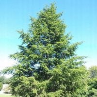 product-compare-59790185