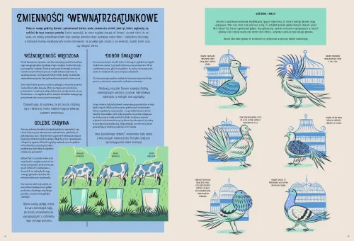 Myśli, które zmieniły świat. Karol Darwin. O powstawaniu gatunków na Arena.pl
