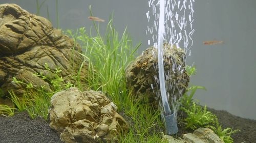 aPUMP MAGNET najcichsza pompka do akwarium do 100l na Arena.pl