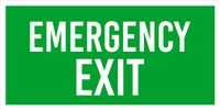 Tabliczka Grawerowana zielona 20x10 znak BHP na drzwi EMERGENCY EXIT