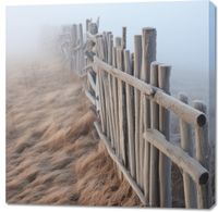 product-compare-59470450