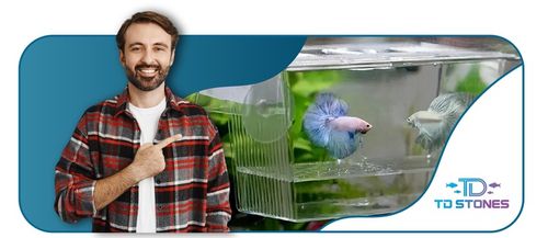 Kotnik Plastikowy dla Ryb Rozmiar L 22,5x9,5x10cm Dwie Komory DUŻY na Arena.pl