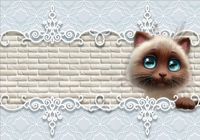 FOTOTAPETA kotek do pokoju dziecięcego 200x130FLIZ