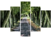OBRAZ LEŚNA DROGA POMIĘDZY DRZEWAMI