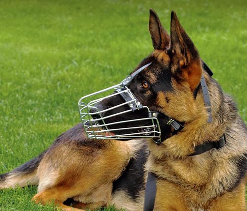 Kaganiec metalowy druciany dla psa BRONZEDOG regulowany L średni-duży na Arena.pl