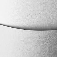 KARTON OZDOBNY BORNEO BIAŁY 220G 20SZT GALERIA PAPIERU 200201