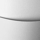 KARTON OZDOBNY BORNEO BIAŁY 220G 20SZT GALERIA PAPIERU 200201