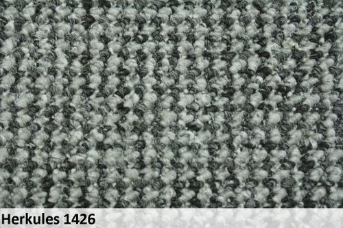 Dywan Dywany HERKULES 300x500 ! na Arena.pl