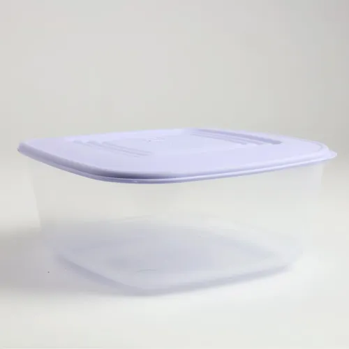 PLASTIKOWY POJEMNIK Z POKRYWKĄ DO PRZECHOWYWANIA ZAMRAŻANIA ŻYWNOŚCI 3L na Arena.pl