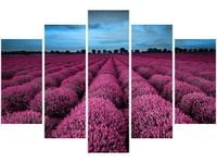 OBRAZ LAWENDOWY NCUSKI KRAJOBRAZ